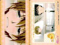 カード 純情ロマンチカ ロマンチカ まとめ No 中村春菊 ムービック MOVIC サムネイル 3