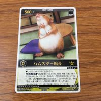 カード トレカ まとめ レンジャーズストライク 忍風戦隊 ハリケンジャー クワガライジャー カブトライジャー ハムスター館長 46 サムネイル 7