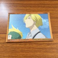 鋼の錬金術師 ハガレン カード トレカ カードダスマスターズ まとめ エドエドワード エルリック グラトニー 13 サムネイル 7