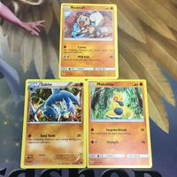 ポケモンカード 旧裏面 英語 海外版 3枚 イワンコ ガバイト マクノシタ 1