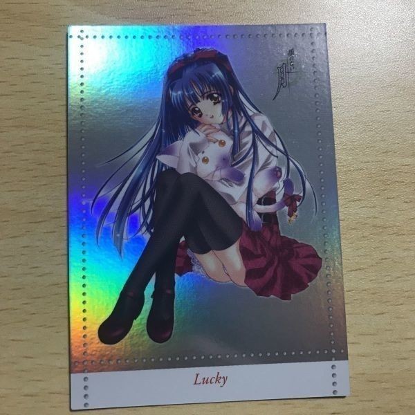 交渉歓迎 ca7-3 カード 顔のない月 ラッキーカード カーネリアン lucky 0120