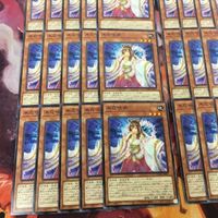 木花咲弥 型番統一 40枚 まとめ ノーマル 遊戯王 DAMA-JP027 コノハナサクヤ サムネイル 4
