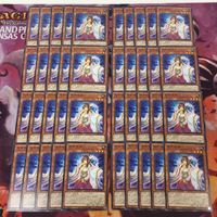 木花咲弥 型番統一 40枚 まとめ ノーマル 遊戯王 DAMA-JP027 コノハナサクヤ サムネイル 1
