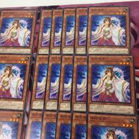 木花咲弥 型番統一 40枚 まとめ ノーマル 遊戯王 DAMA-JP027 コノハナサクヤ サムネイル 3