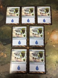 MTG Kamigawa Island Chinese Simplified Lot Rare