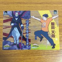 カード トレカ まとめ 僕のヒーローアカデミア ヒロアカ ジェントル クリミナル 飯田 天哉 芦戸 三奈 波動 ねじれ リューキュウ 9 サムネイル 3