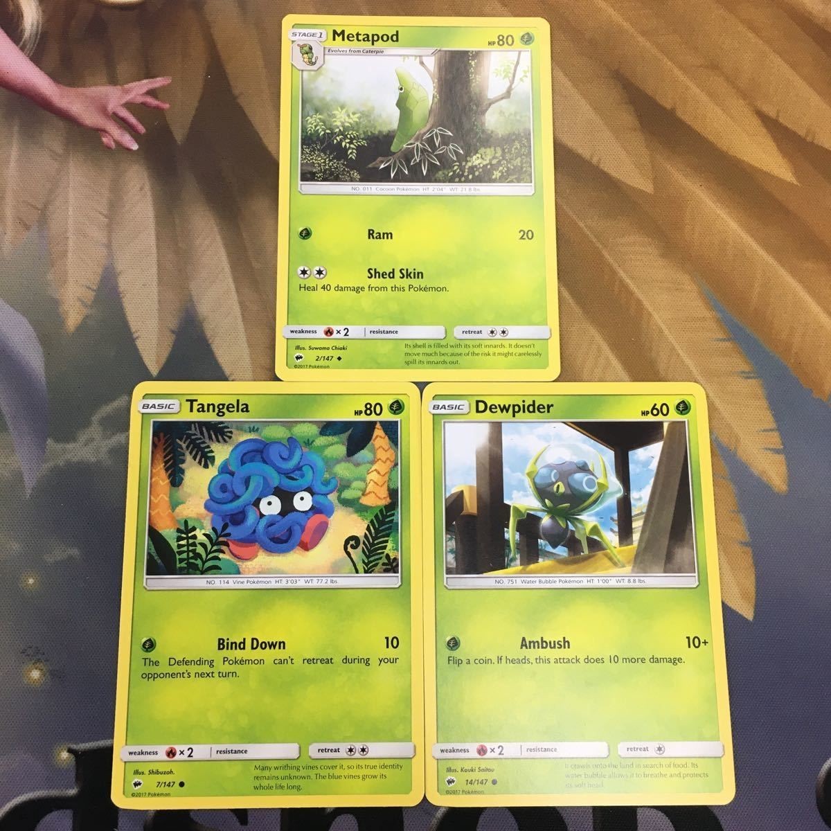ポケモンカード 旧裏面 英語 海外版 3枚 トランセル モンジャラ シズクモ 33