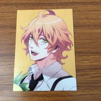 カード トレカ まとめ うたのプリンスさまっ うたプリ 四ノ宮 那月 聖川 真斗 一十木 音也 愛島 セシル 日向 龍也 月宮 林檎 1 サムネイル 9