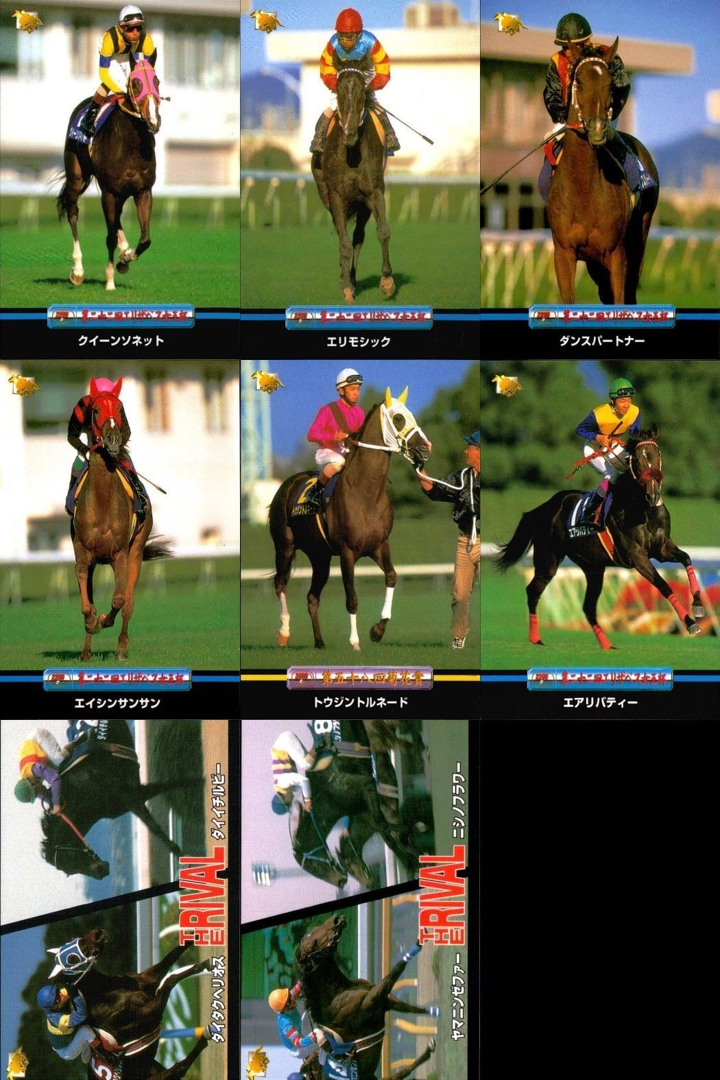 競馬 カード ホースレーシング まとめ クイーンソネット エリモシック ダンスパートナー エイシンサンサン トウジントルネード エアリバティー ダイイチルビー、ダイタクヘリオス ヤマニンゼファー、ニシノフラワー バンダイ