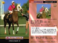 競馬 カード ホースレーシング まとめ クイーンソネット エリモシック ダンスパートナー エイシンサンサン トウジントルネード エアリバティー ダイイチルビー、ダイタクヘリオス ヤマニンゼファー、ニシノフラワー バンダイ サムネイル 6