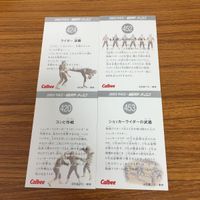 仮面ライダー カード まとめ 55 サムネイル 6