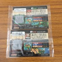 カード トレカ まとめ ガオロード 未開封 ヒャッコ 爆兎ホウメイ エンパンダー マニタリーニ ザンビートル ピリカ ピリム 43 サムネイル 6