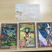交渉歓迎 ca8-3 カード ヴィルガスト 経験値 チップ 15 リキュア 0120カード 0220