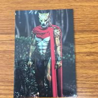 仮面ライダー カード まとめ 仮面ライダー アギト 仮面ライダークウガ 非売品 21 サムネイル 2