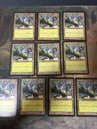 ウルザズ・サーガ 森/Forest 10枚 日本語版 JP 型番統ー まとめ MTG 人気絵柄 基本土地 大量 USG