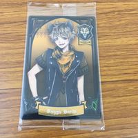 未開封 ウエハース カード まとめ ツイステッド ワンダーランド ツイステ レオナ ラギー 28 サムネイル 9