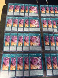 六武式襲双人 40枚 型番統一 六武衆 ノーマル まとめ 遊戯王 ROTA サムネイル 2