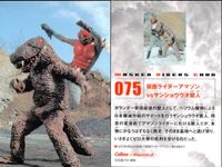 仮面ライダーチップスR MASKED RIDERS CARD 仮面ライダーチップスR カルビー × Magazine Z マガジンZ カード まとめ カード まとめ MASKED RIDERS CARD ハエトリバチ 変貌 9枚 サムネイル 8