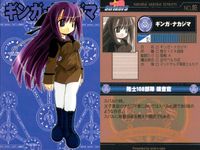 魔法少女リリカルなのはStrikerS 魔法少女リリカル なのはStrikerS カード まとめ キャラクター 紅の鉄騎ヴィータ ギンガ ナカジマ カリム グラシア エリオ モンディアル 4枚 NO.11 NO.10 NO.09 サムネイル 3