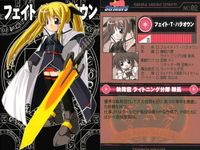 なのはStrikerS 魔法少女リリカルなのは StrikerS 魔法少女リリカル なのはStrikerS カード まとめ キャラクター シャリオ フィニーノ フェイト T ハラオウン 紅の鉄騎ヴィータ 烈火の将シグナム 4枚 サムネイル 3