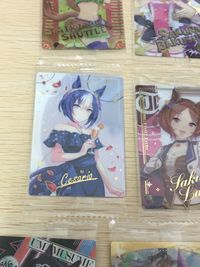 ウマ娘 プリティーダービー ウマ娘 ウエハース カード まとめ キャラクター サポート プロフィール ストーリー タイキシャトル サクラバクシンオー ジェンティルドンナ メイショウドトウ チェザリオ サクラローレル フジキセキ サムネイル 17