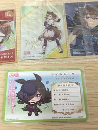 ウマ娘 プリティーダービー ウマ娘 ウエハース カード まとめ キャラクター サポート プロフィール ストーリー タイキシャトル サクラバクシンオー ジェンティルドンナ メイショウドトウ チェザリオ サクラローレル フジキセキ サムネイル 13