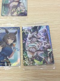ウマ娘 プリティーダービー ウマ娘 ウエハース カード まとめ キャラクター サポート プロフィール ストーリー タイキシャトル サクラバクシンオー ジェンティルドンナ メイショウドトウ チェザリオ サクラローレル フジキセキ サムネイル 20