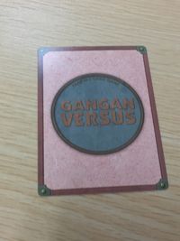 ガンガンヴァーサス GANGAN VERSUS TRADING CARD GAME ガンガンヴァーサス R カード ポン太 トレカ L-015 R エニックス TCG サムネイル 6