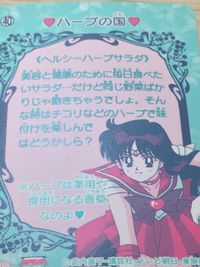 美少女戦士セーラームーンSuperS カード スーパーセーラームーン スーパーちびムーン トレカ 40 バンプレスト バンプレ サムネイル 11