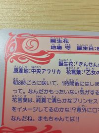 美少女戦士 セーラームーンS 美少女戦士セーラームーン バンプレカード カード セーラー戦士 タキシード仮面 トレカ 12 バンプレスト カードダス サムネイル 5