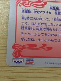 美少女戦士 セーラームーンS 美少女戦士セーラームーン バンプレカード カード セーラー戦士 タキシード仮面 トレカ 12 バンプレスト カードダス サムネイル 4