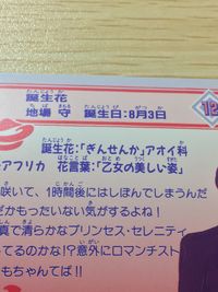 美少女戦士 セーラームーンS 美少女戦士セーラームーン バンプレカード カード セーラー戦士 タキシード仮面 トレカ 12 バンプレスト カードダス サムネイル 6