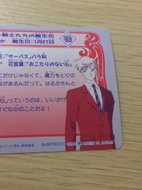 美少女戦士セーラームーンS 美少女戦士セーラームーン バンプレカード カード 天王はるか トレカ 14 バンプレスト カードダス コレクション サムネイル 6