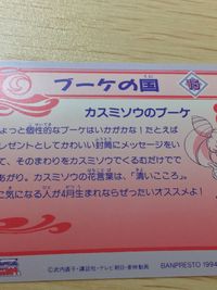 美少女戦士セーラームーンS 美少女戦士セーラームーン バンプレカード カード 冥王せつな トレカ 15 バンプレスト バンプレ サムネイル 6