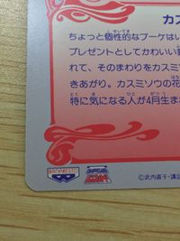 美少女戦士セーラームーンS 美少女戦士セーラームーン バンプレカード カード 冥王せつな トレカ 15 バンプレスト バンプレ サムネイル 4