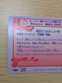 美少女戦士 セーラームーンS 美少女戦士セーラームーン バンプレカード カード 海王みちる トレカ 13 バンプレスト カードダス バンプレ サムネイル 7