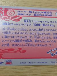美少女戦士 セーラームーンS 美少女戦士セーラームーン バンプレカード カード スーパーセーラームーン トレカ 7 バンプレスト カードダス サムネイル 5