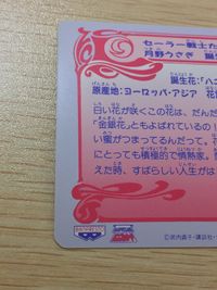美少女戦士 セーラームーンS 美少女戦士セーラームーン バンプレカード カード スーパーセーラームーン トレカ 7 バンプレスト カードダス サムネイル 4