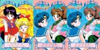 美少女戦士セーラームーンSuperS 美少女戦士セーラームーン バンプレカード カード まとめ キャラクター セーラーマーズ セーラーヴィーナス セーラージュピター セーラーマーキュリー 3枚 25 26 バンダイ サムネイル 1