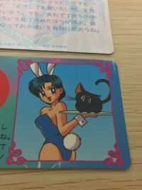 美少女戦士 セーラームーンR 美少女戦士セーラームーンR 占いカード カード セーラーちびムーン トレカ バンプレスト 占い サムネイル 2