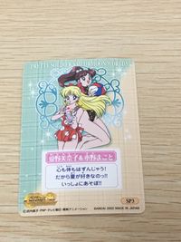 美少女戦士セーラームーンワールド3 カード 愛野美奈子 木野まこと トレカ SP3 SP バンダイ 食玩 サムネイル 11