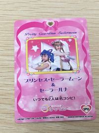 美少女戦士 セーラームーン カード プリンセス セーラームーン セーラールナ トレカ SP03 SP バンダイ カードダス サムネイル 10