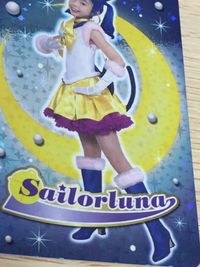 美少女戦士セーラームーン Pretty Guardian Sailormoon カード セーラールナ トレカ SP02 バンダイ 食玩 カードダス サムネイル 9