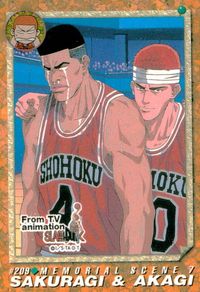 スラムダンク SLAM DUNK スラムダンク カードダス カード 桜木 赤木 トレカ #209 バンダイ カードダス