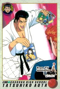スラムダンク SLAM DUNK スラムダンク カードダス カード 青田龍彦 トレカ #189 バンダイ カードダス