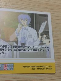 新世紀エヴァンゲリオン 綾波育成計画 カード 綾波レイ ノーベル賞学者 トレカ H10 ENDING 019 アマダ カードダス コレクション サムネイル 8