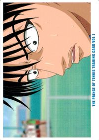 テニプリ テニスの王子様 テニスの王子様 テニプリ カード KONAMI カード トレカ CARD NO.95 コナミ トレーディング