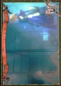 Fate/stay night FACT CARD Fate stay night FACT CARD 初版 カード 衛宮邸 トレカ 091 SILVER BLITZ トレーディング