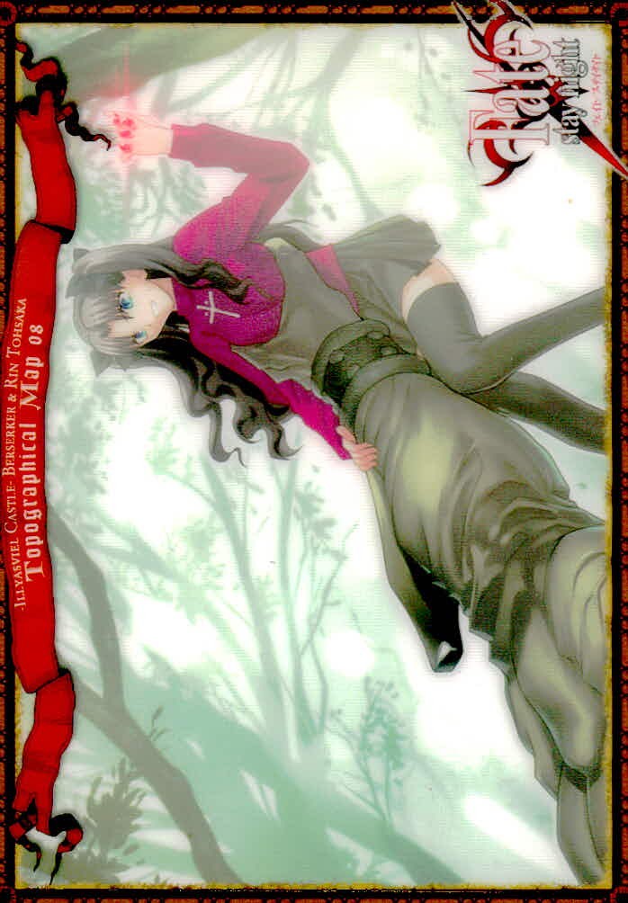 フェイト Fate/stay night Fate stay night FACT CARD 初版 カード アインツベルン城 トレカ 098 SILVER BLITZ ファクト