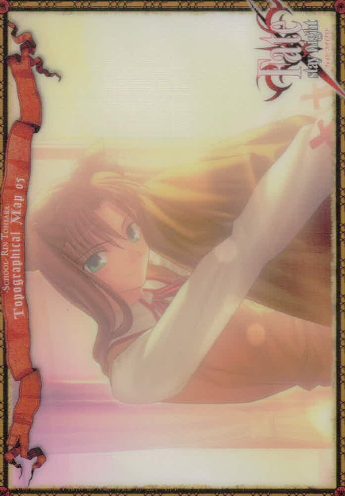 Fate/stay night Fate stay night FACT CARD 初版 カード 穂群原学園 トレカ 095 SILVER BLITZ ファクト